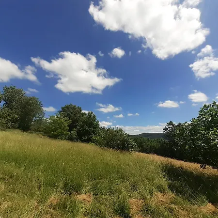 Tiny House With Mountain View